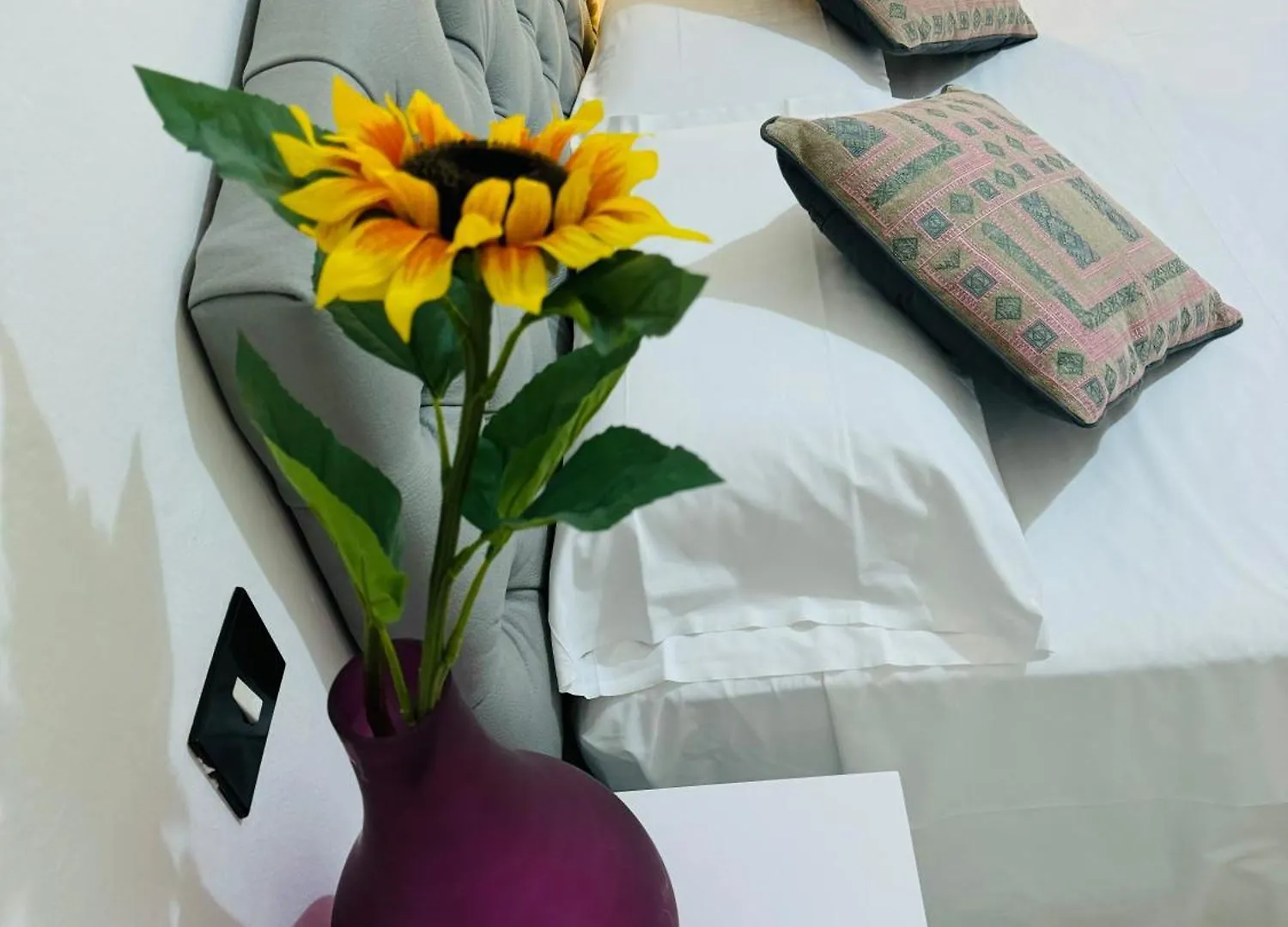 The Galaxy House Hotel Pisa
